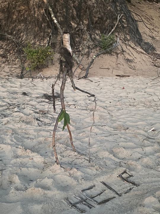 Found-Material Sculpture (1 of 1)