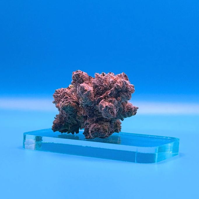 Product Photography (8 of 10)